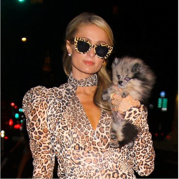 💕RONNY KOBO💕 Bernadette Pleated Leopard-Print Chiffon Midi Dress ~ Small NWT - Picture 4 of 16